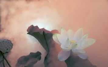 Biết bao giờ